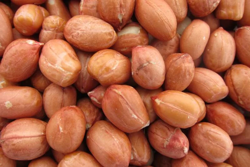 Raw Bold Peanut